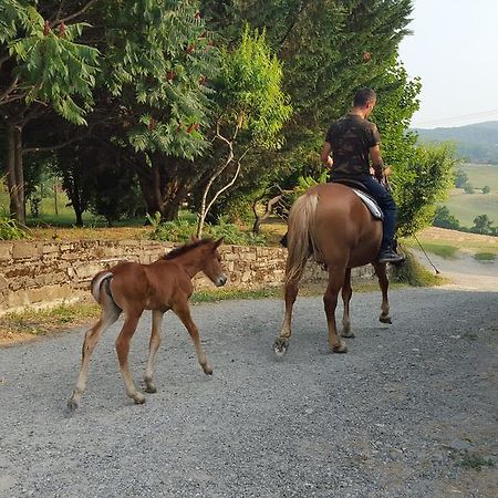 Agriturismo Corte Del Gallo 리버가로 외부 사진